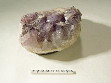 Quarz, Var. Amethyst, MfNC Inv.-Nr. M12456